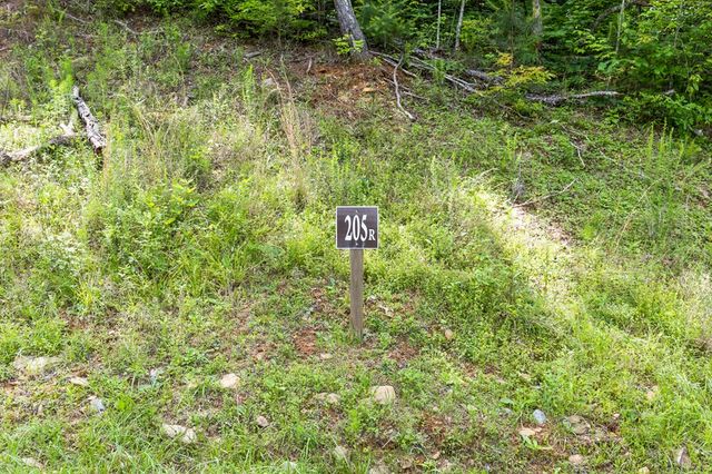 lot 205r Pinnacle Drive, Ellijay, GA 30540