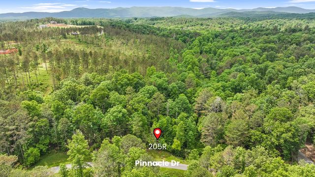lot 205r Pinnacle Drive, Ellijay, GA 30540