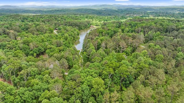 lot 205r Pinnacle Drive, Ellijay, GA 30540