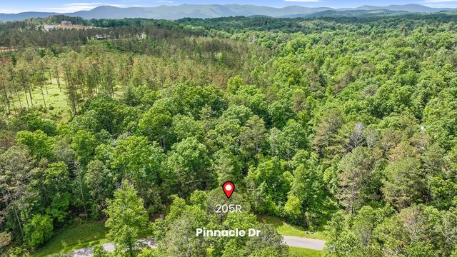 lot 205r Pinnacle Drive, Ellijay, GA 30540