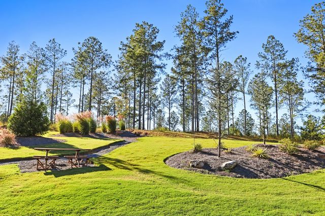 lot 205r Pinnacle Drive, Ellijay, GA 30540