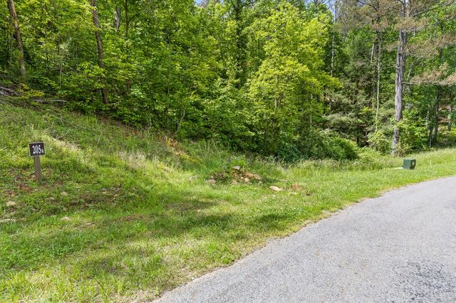 lot 205r Pinnacle Drive, Ellijay, GA 30540