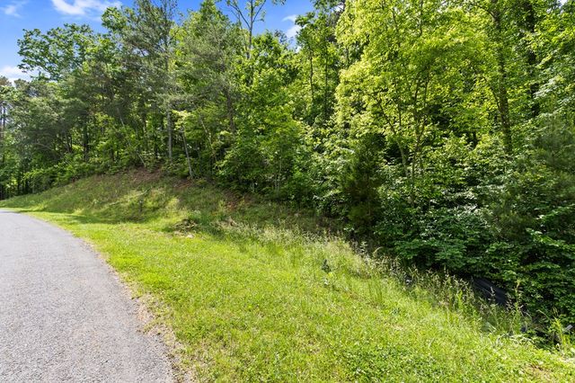 lot 205r Pinnacle Drive, Ellijay, GA 30540