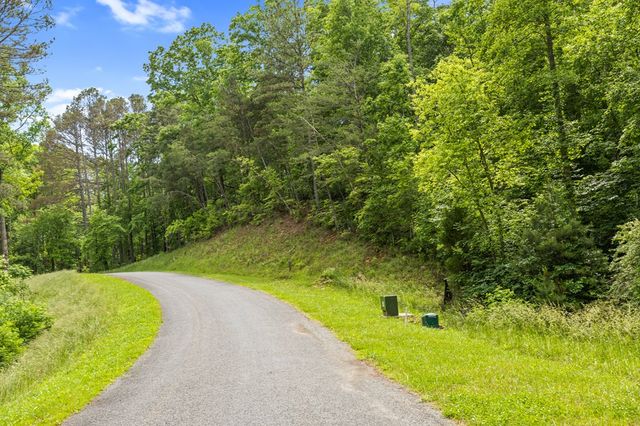 lot 205r Pinnacle Drive, Ellijay, GA 30540