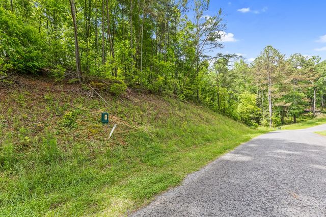 lot 205r Pinnacle Drive, Ellijay, GA 30540