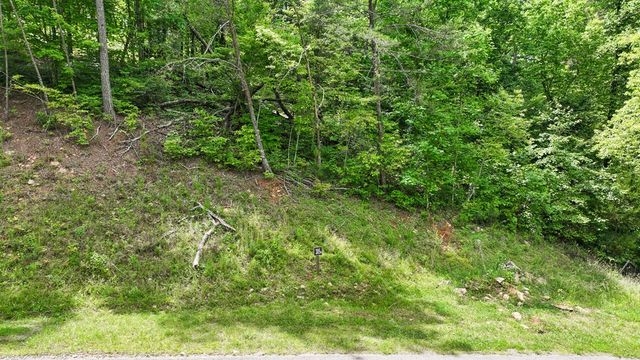 lot 205r Pinnacle Drive, Ellijay, GA 30540