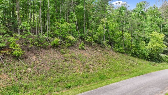 lot 205r Pinnacle Drive, Ellijay, GA 30540