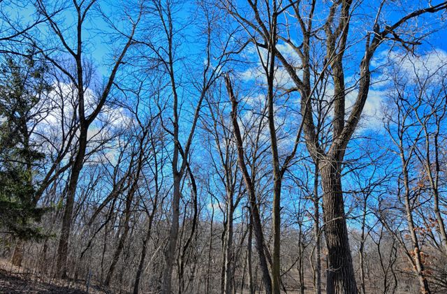 12102 Red Oak Court S, Burnsville, MN 55337