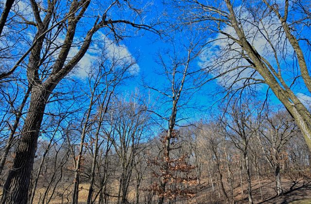 12102 Red Oak Court S, Burnsville, MN 55337