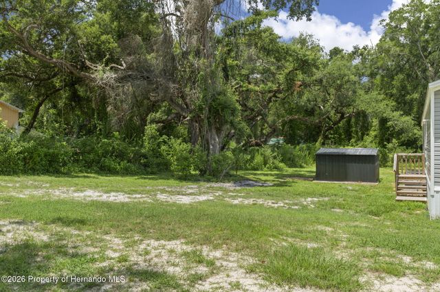 4363 County Road 690, Webster, FL 33597