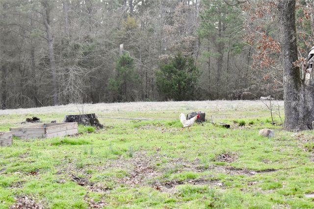 509 County Road 35985, Powderly, TX 75473