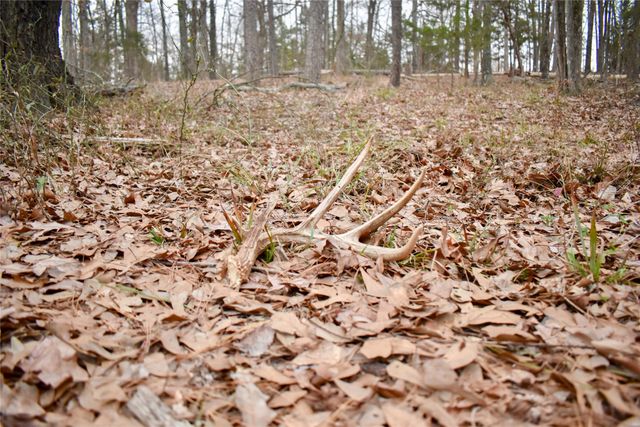 509 County Road 35985, Powderly, TX 75473