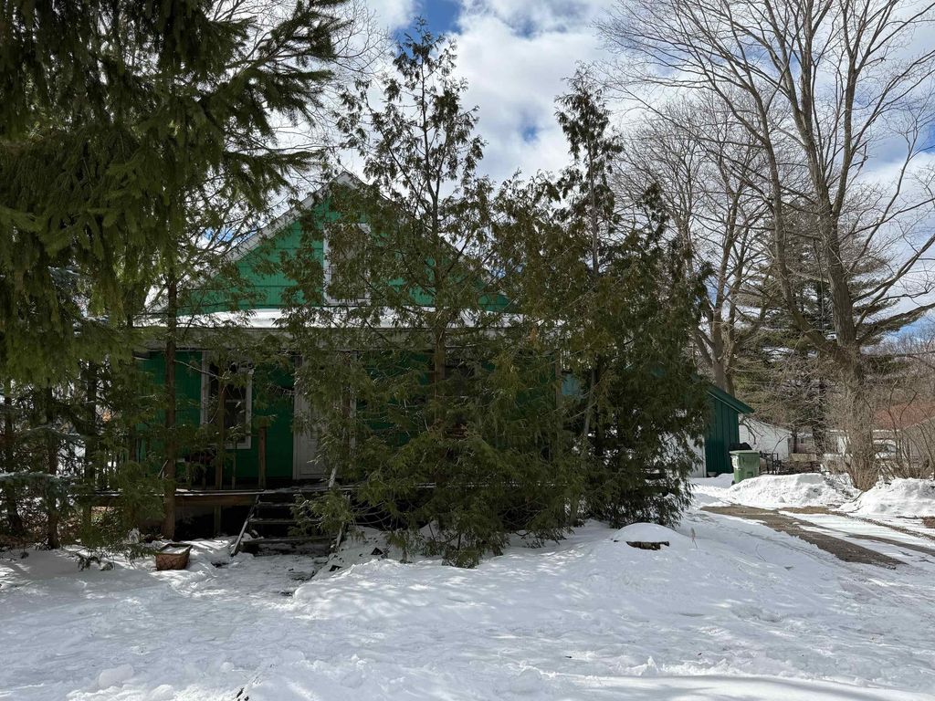 903 Cotey Street, Cadillac, MI 49601