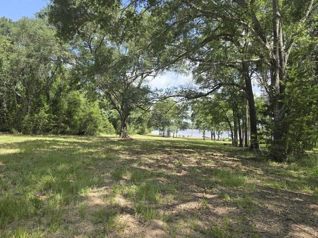 9141 Clyde Acord Road Lot 436, Franklin, TX 77856 — photo 2