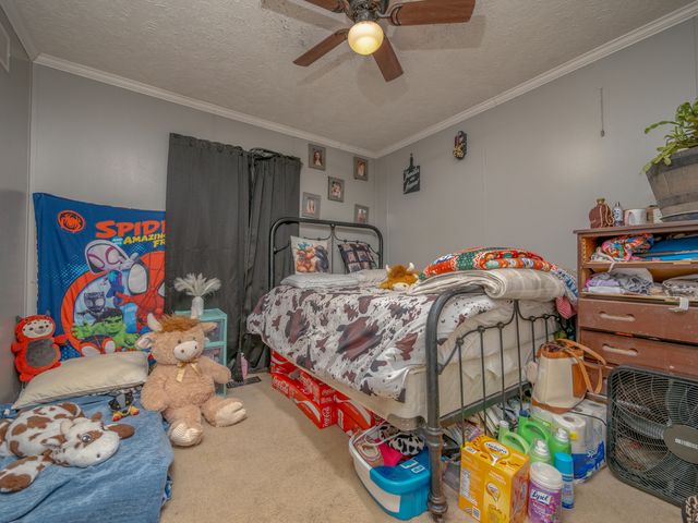 99 Kennedy Court, Morehead, KY 40351