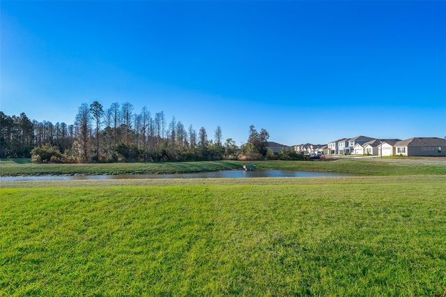 1391 FOX SQUIRREL DRIVE, Davenport, FL 33897