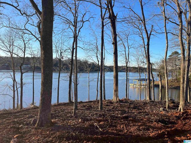 755 BLUE RIVER DRIVE, Lincoln, AL 35096