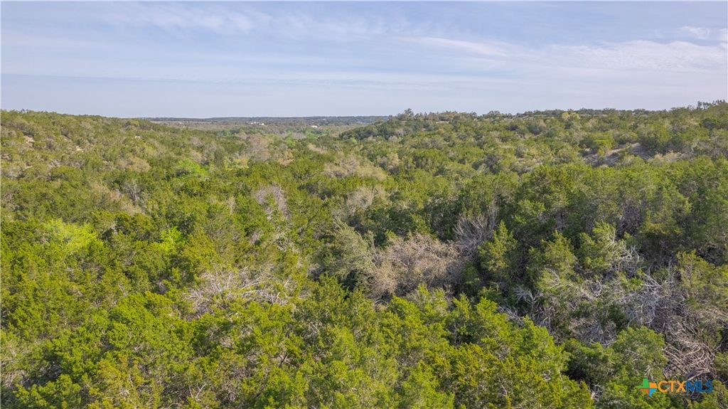 Image 10 of property listing at TBD Bell Springs Road, Dripping Springs, TX 78620