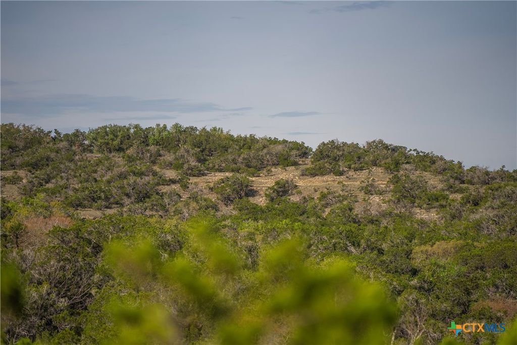 Image 15 of property listing at TBD Bell Springs Road, Dripping Springs, TX 78620