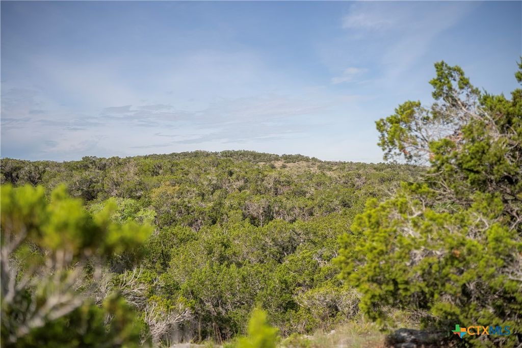 Image 16 of property listing at TBD Bell Springs Road, Dripping Springs, TX 78620