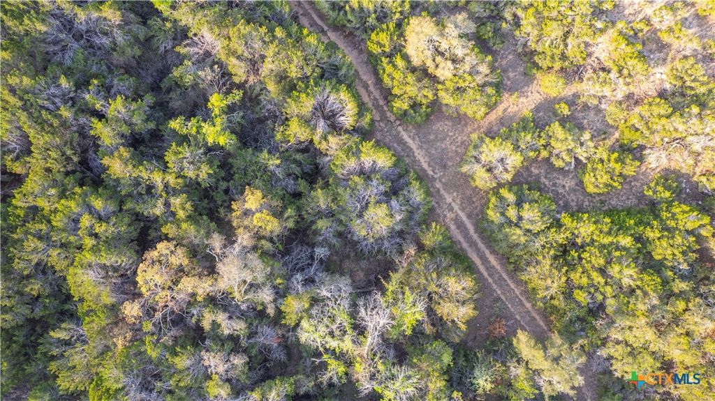 Image 21 of property listing at TBD Bell Springs Road, Dripping Springs, TX 78620