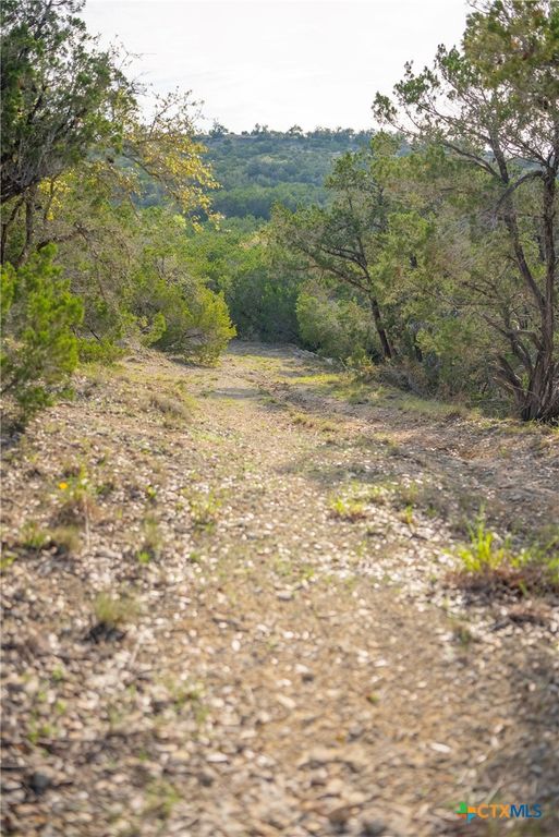 Image 23 of property listing at TBD Bell Springs Road, Dripping Springs, TX 78620