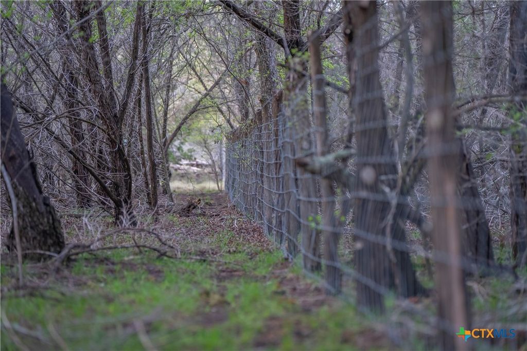 Image 24 of property listing at TBD Bell Springs Road, Dripping Springs, TX 78620