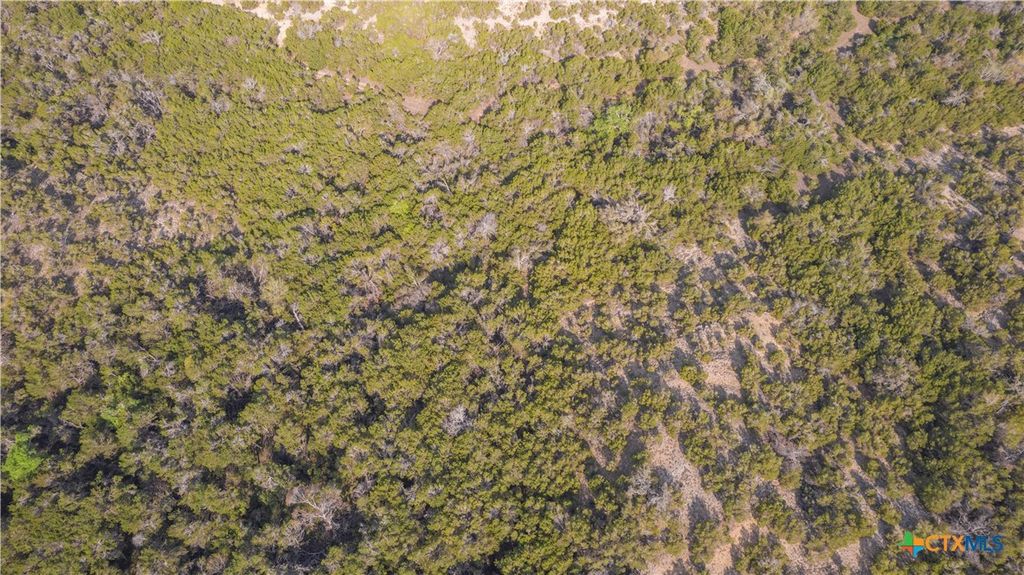 Image 32 of property listing at TBD Bell Springs Road, Dripping Springs, TX 78620