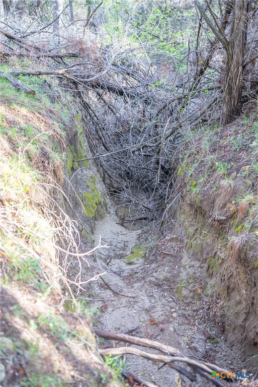 Image 37 of property listing at TBD Bell Springs Road, Dripping Springs, TX 78620