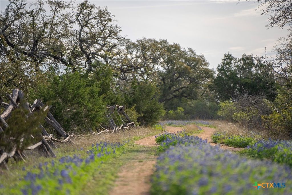 Image 6 of property listing at TBD Bell Springs Road, Dripping Springs, TX 78620