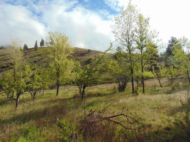 27235 LAZY SPRINGS RD, Clinton, MT 59825