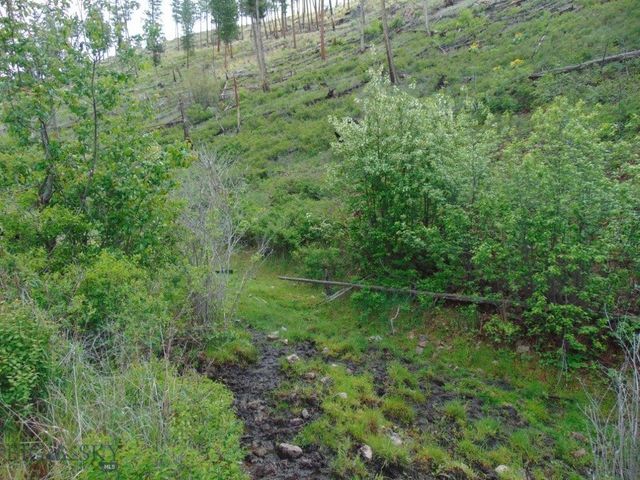 27235 LAZY SPRINGS RD, Clinton, MT 59825