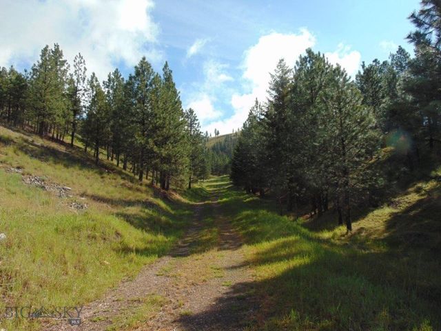 27235 LAZY SPRINGS RD, Clinton, MT 59825