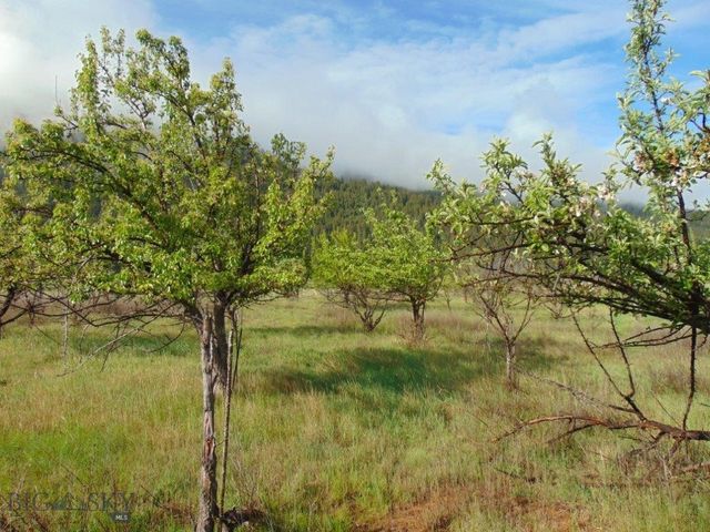 27235 LAZY SPRINGS RD, Clinton, MT 59825