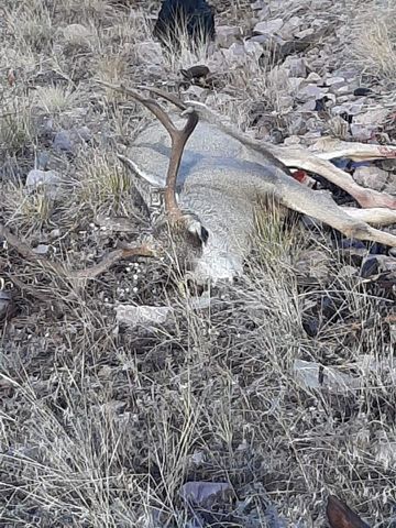 27235 LAZY SPRINGS RD, Clinton, MT 59825