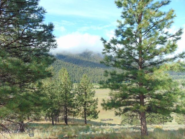 27235 LAZY SPRINGS RD, Clinton, MT 59825