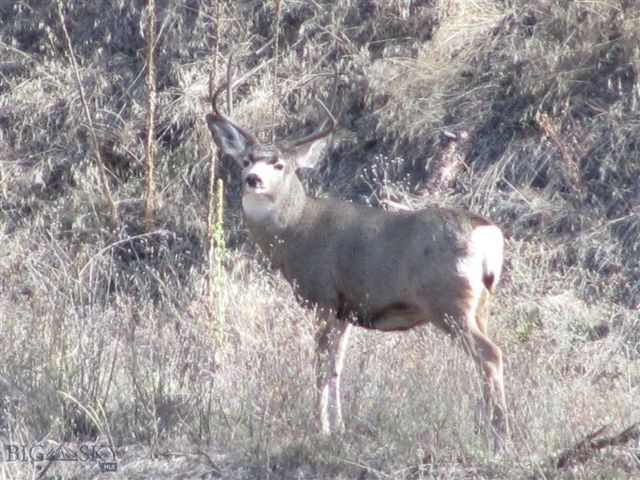 27235 LAZY SPRINGS RD, Clinton, MT 59825