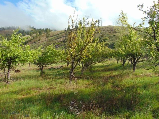 27235 LAZY SPRINGS RD, Clinton, MT 59825