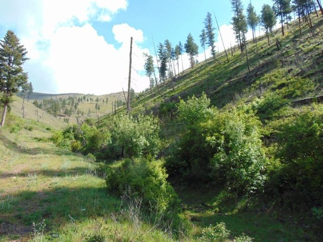 27235 LAZY SPRINGS RD, Clinton, MT 59825