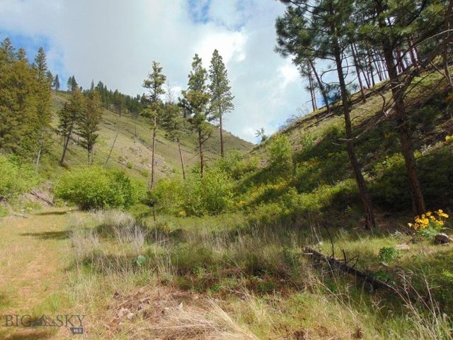 27235 LAZY SPRINGS RD, Clinton, MT 59825