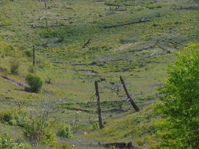 27235 LAZY SPRINGS RD, Clinton, MT 59825