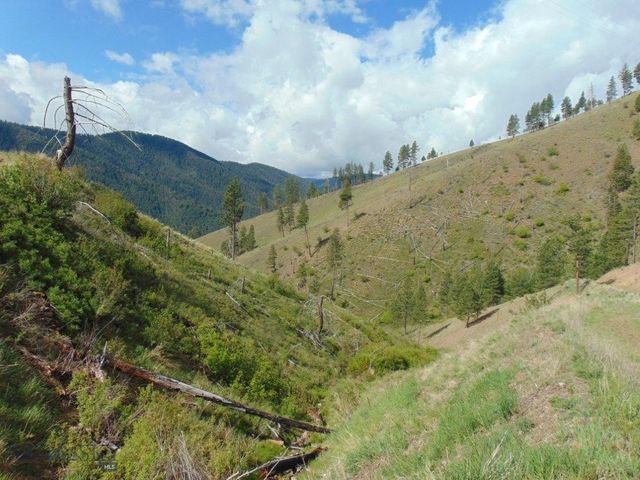 27235 LAZY SPRINGS RD, Clinton, MT 59825