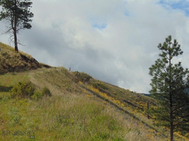 27235 LAZY SPRINGS RD, Clinton, MT 59825