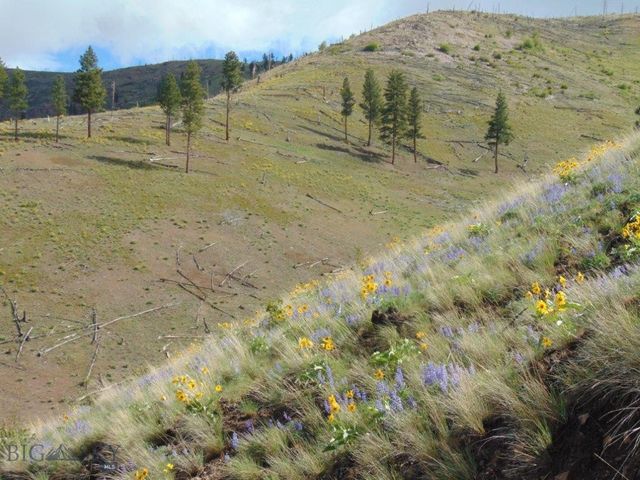 27235 LAZY SPRINGS RD, Clinton, MT 59825