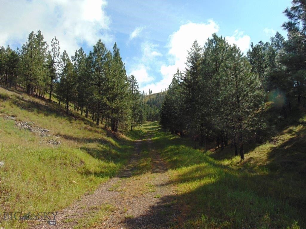 27235 LAZY SPRINGS RD, Clinton, MT 59825 photo 15