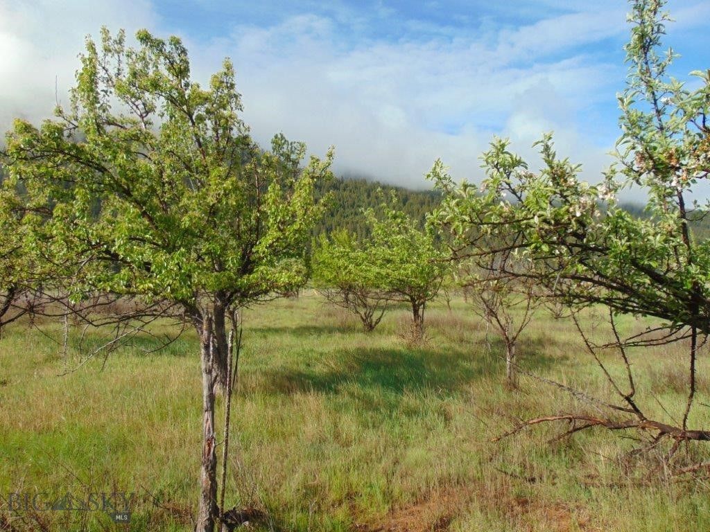 27235 LAZY SPRINGS RD, Clinton, MT 59825 photo 19