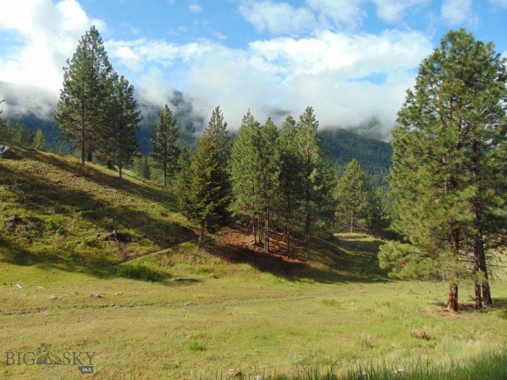 27235 LAZY SPRINGS RD, Clinton, MT 59825 photo 3