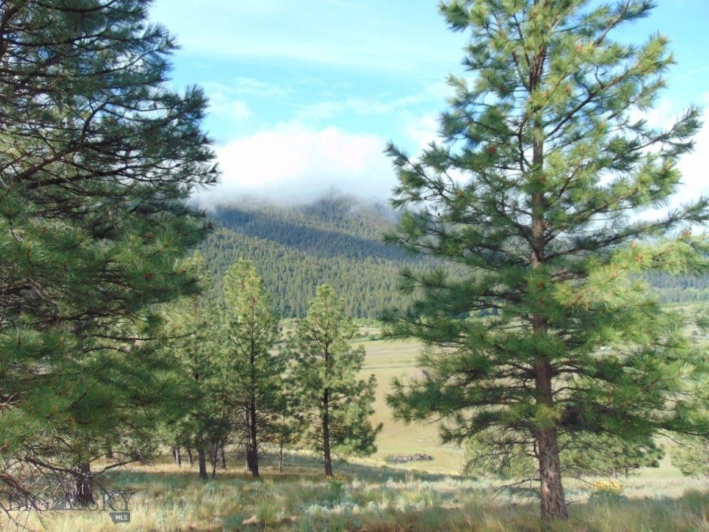 27235 LAZY SPRINGS RD, Clinton, MT 59825 photo 35