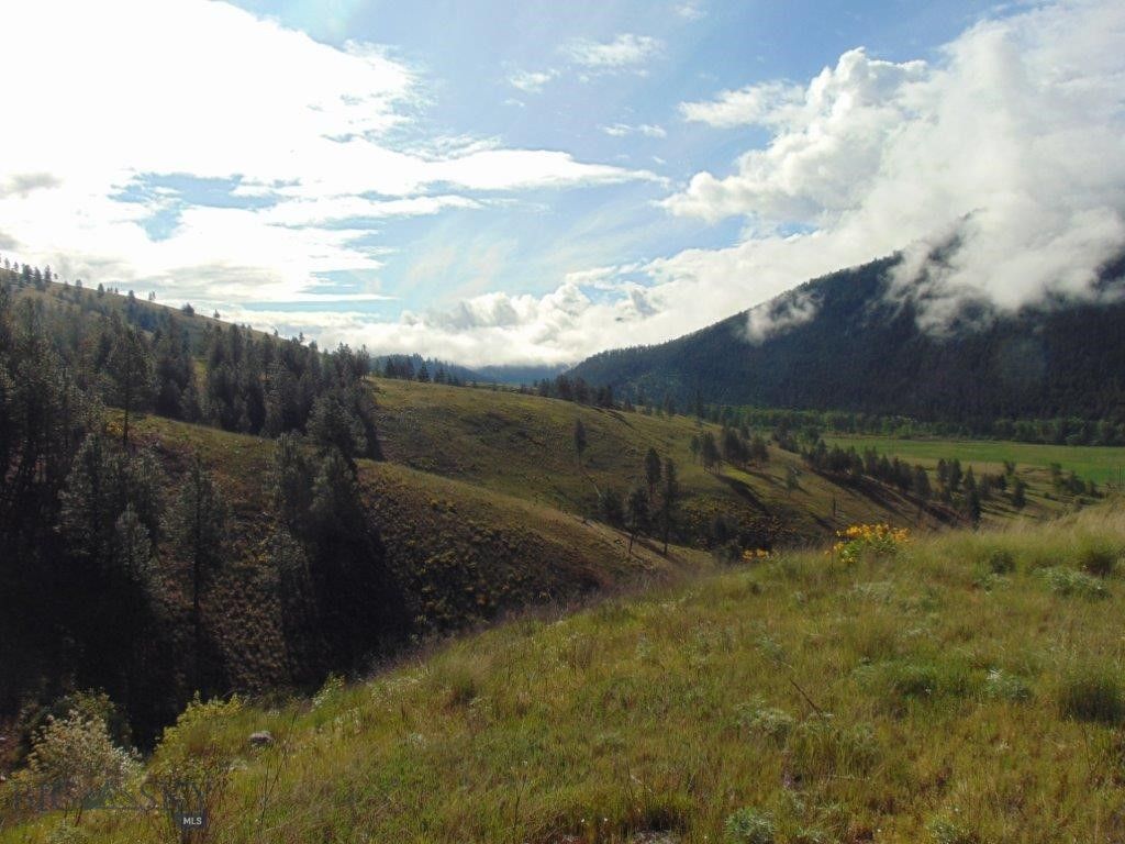 27235 LAZY SPRINGS RD, Clinton, MT 59825 photo 36