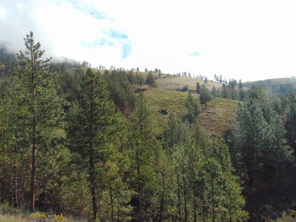 27235 LAZY SPRINGS RD, Clinton, MT 59825 photo 38